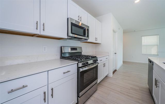 22310 BLAZING STAR RUN, Land O Lakes, FL 34637