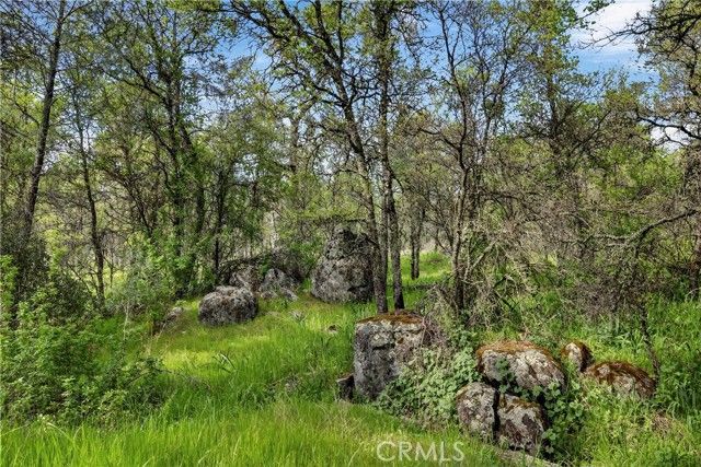 97 Gold Mountain, Bangor, CA 95914