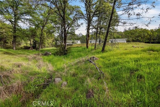 97 Gold Mountain, Bangor, CA 95914