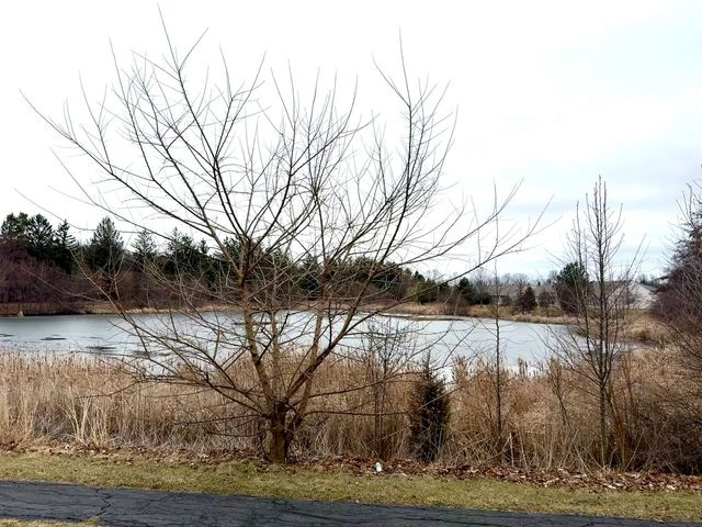 111 W Chatham Lane, Round Lake, IL 60073