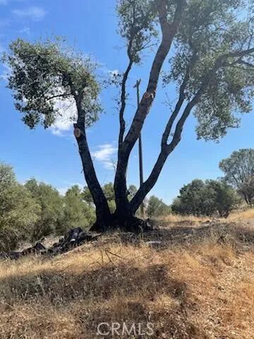 123 Jennifer, Coarsegold, CA 93614