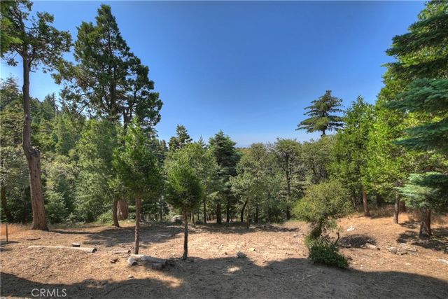 1040 Mile High Road, Twin Peaks, CA 92391