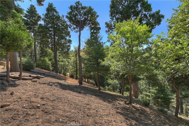 1040 Mile High Road, Twin Peaks, CA 92391