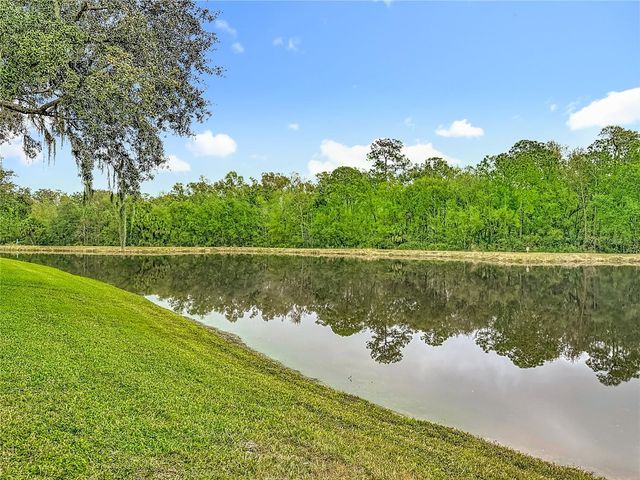 8521 BRAMWELL WAY, Tampa, FL 33647