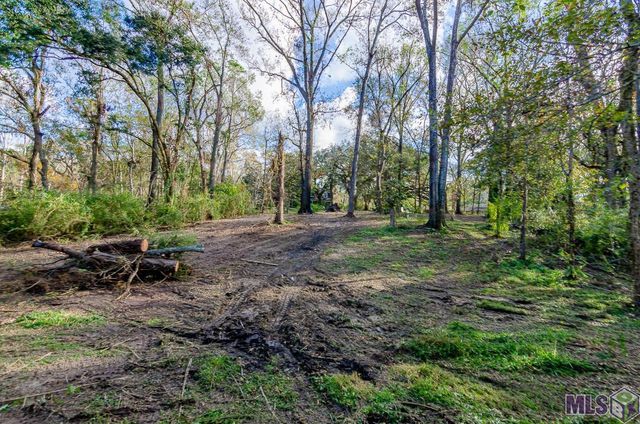 36608 Swamp Rd, Prairieville, LA 70769