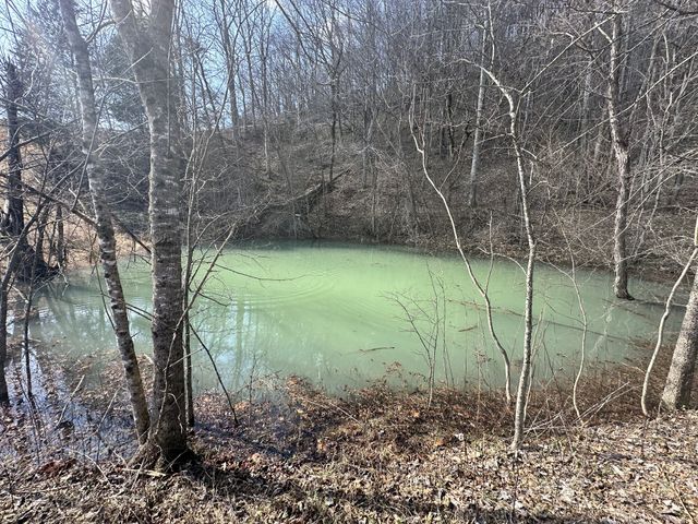 303 Little Creek Rd, Pleasant Shade, TN 37145