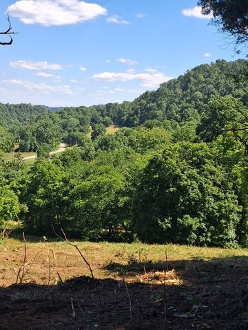 303 Little Creek Rd, Pleasant Shade, TN 37145