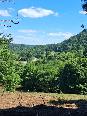 303 Little Creek Rd, Pleasant Shade, TN 37145
