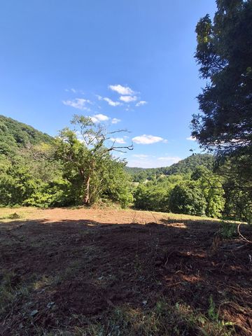 303 Little Creek Rd, Pleasant Shade, TN 37145