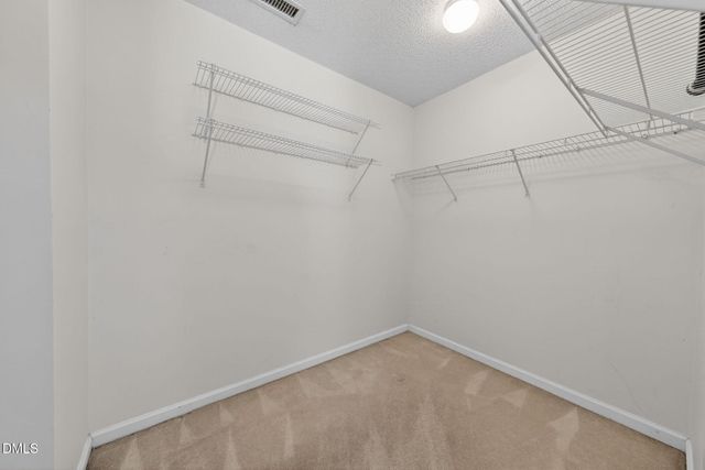 6804 Broome Bay Court, Raleigh, NC 27616