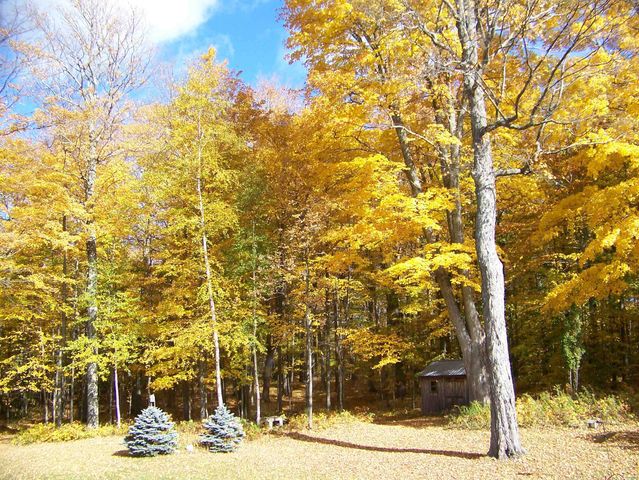 1533 Nelson Hill Road, Derby, VT 05829