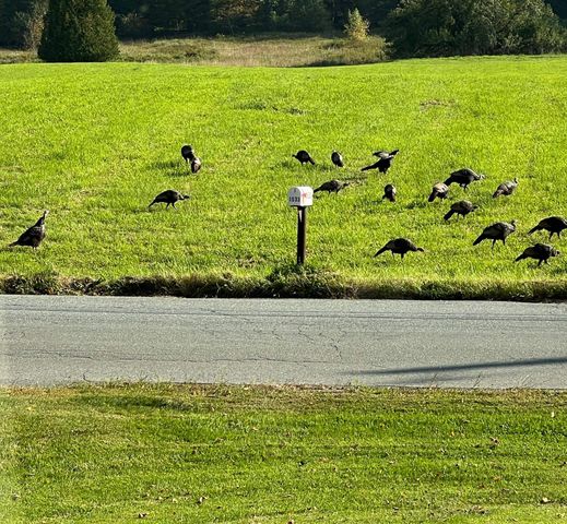 1533 Nelson Hill Road, Derby, VT 05829