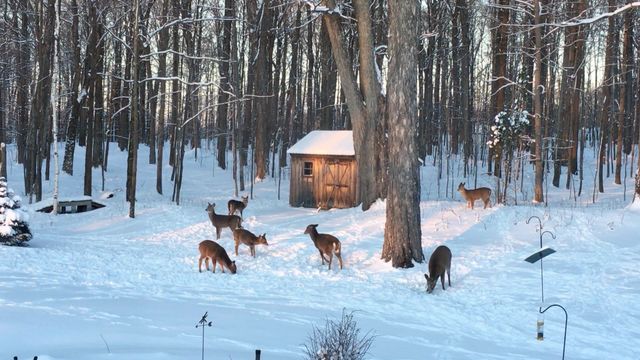 1533 Nelson Hill Road, Derby, VT 05829