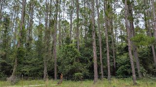 TBD SE 3RD PLACE, Gainesville, FL 32641