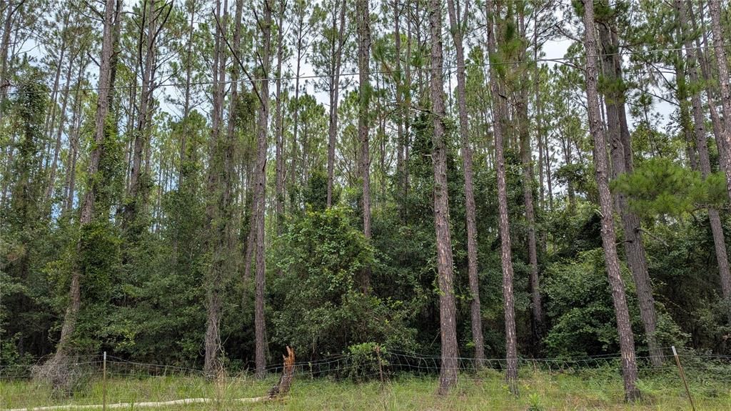 TBD SE 3RD PLACE, Gainesville, FL 32641