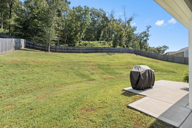 6523 Long Horn Street, Birchwood, TN 37308