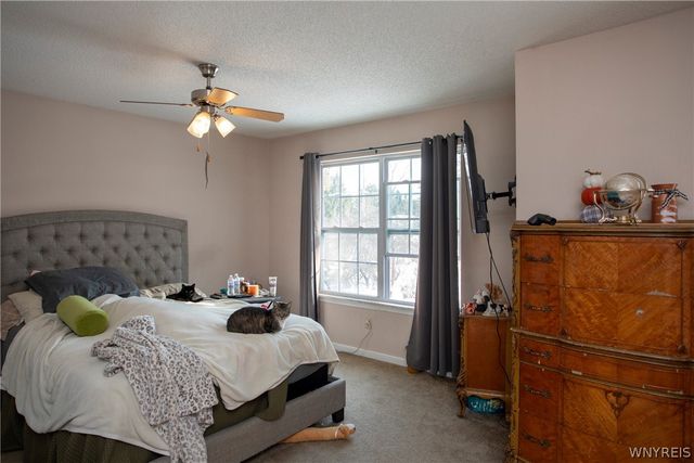 9422 Partridge Road, Colden, NY 14033