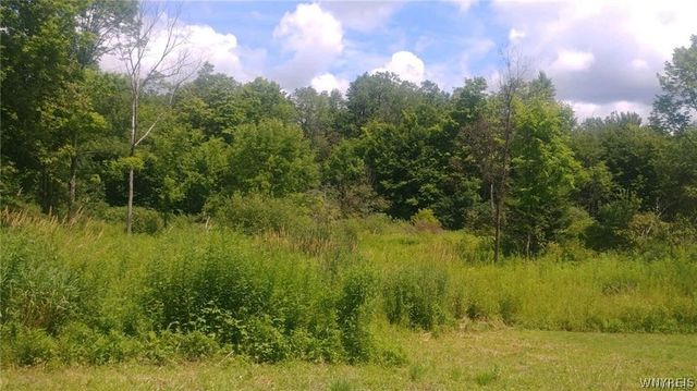 9422 Partridge Road, Colden, NY 14033