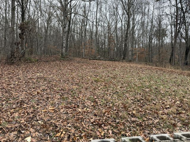 522 College Grove Road, Rockwood, TN 37854