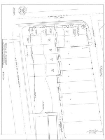 Lots 11 and 12 Rt 53 and Ogden Avenue, Lisle, IL 60532