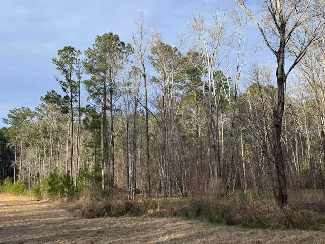 536 Bertha Lane, Huger, SC 29450