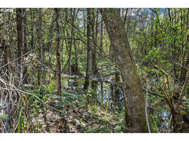 25669 COCHRAN Ct, Veneta, OR 97487
