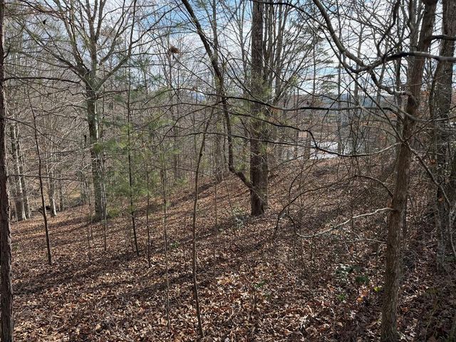 4, 5 &6 Mountain Wood Drive, Murphy, NC 28906