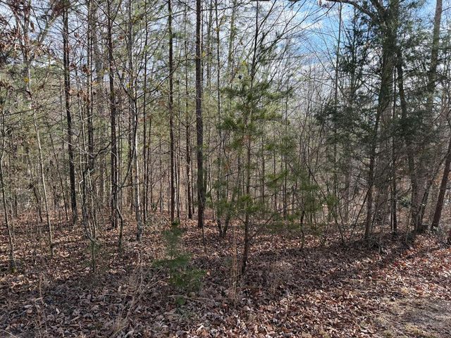 4, 5 &6 Mountain Wood Drive, Murphy, NC 28906