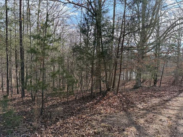 4, 5 &6 Mountain Wood Drive, Murphy, NC 28906