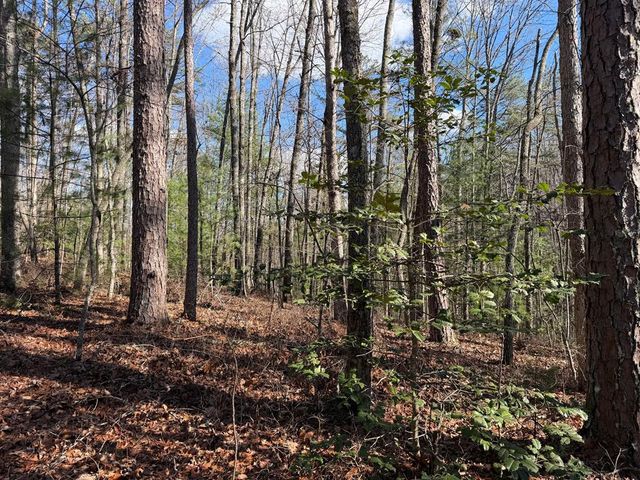 4, 5 &6 Mountain Wood Drive, Murphy, NC 28906