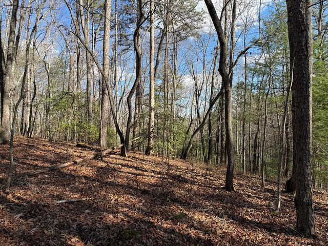 4, 5 &6 Mountain Wood Drive, Murphy, NC 28906