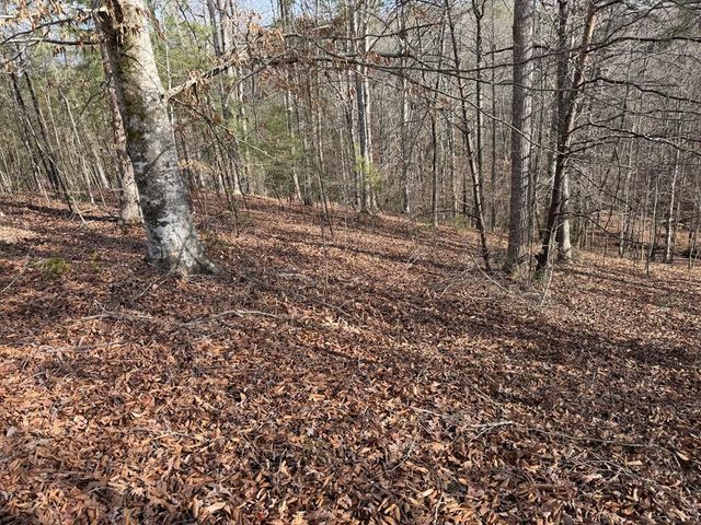 4, 5 &6 Mountain Wood Drive, Murphy, NC 28906