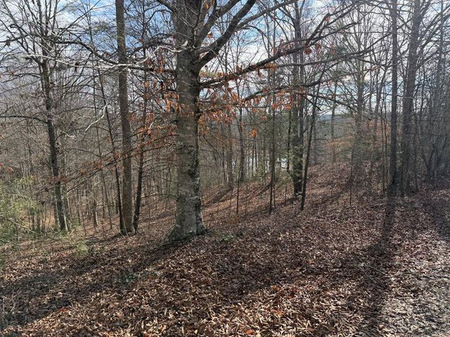 4, 5 &6 Mountain Wood Drive, Murphy, NC 28906