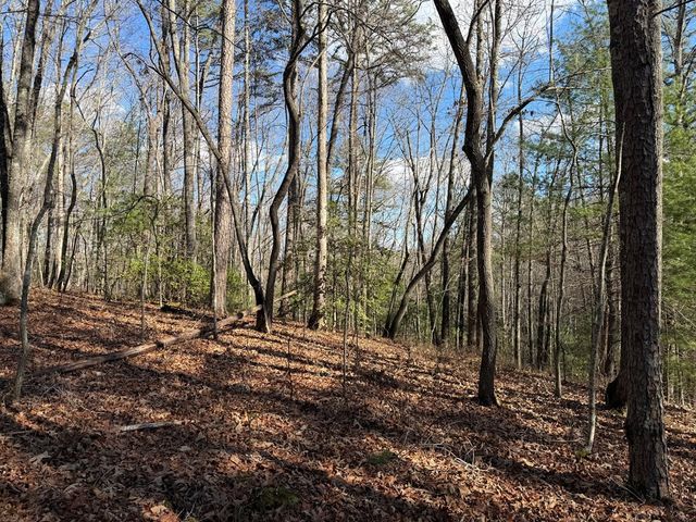 4, 5 &6 Mountain Wood Drive, Murphy, NC 28906