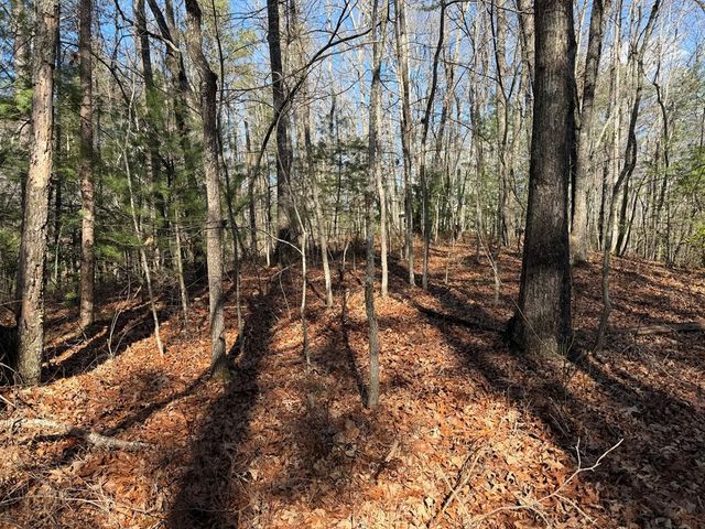 4, 5 &6 Mountain Wood Drive, Murphy, NC 28906