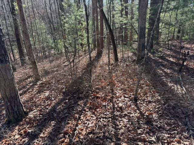 4, 5 &6 Mountain Wood Drive, Murphy, NC 28906