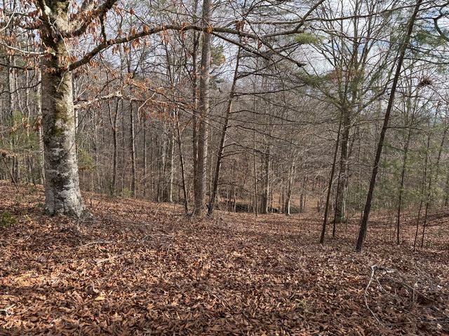 4, 5 &6 Mountain Wood Drive, Murphy, NC 28906