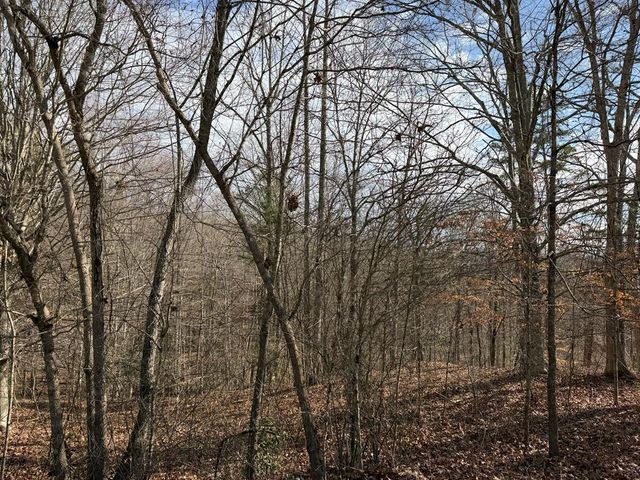 4, 5 &6 Mountain Wood Drive, Murphy, NC 28906