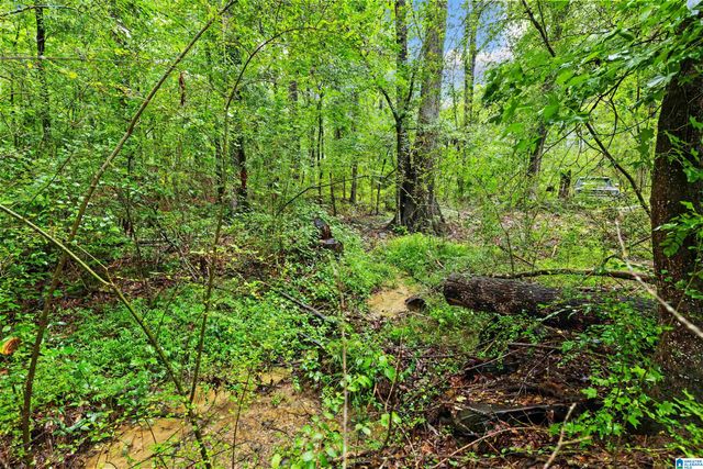 9397 HIGHWAY 51, Sterrett, AL 35147