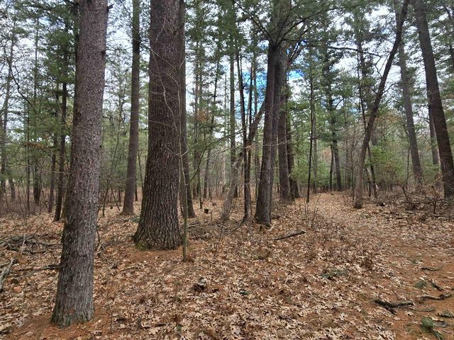 W8429 County Road C, New Lisbon, WI 53950