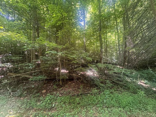2.33 acr Flat Rock Valley Road, Blairsville, GA 30512