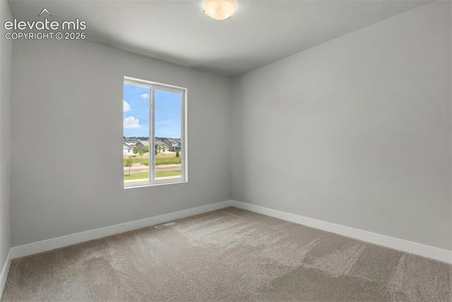 10007 Vervain View, Colorado Springs, CO 80924