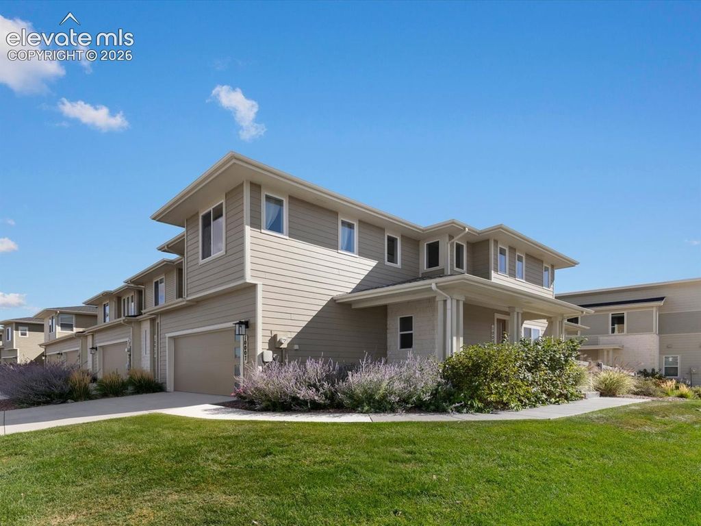 10007 Vervain View, Colorado Springs, CO 80924 — photo 2