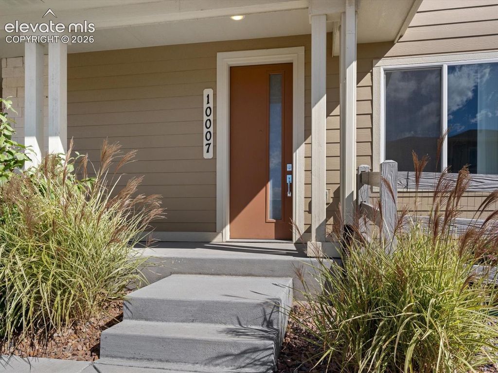 10007 Vervain View, Colorado Springs, CO 80924 — photo 4