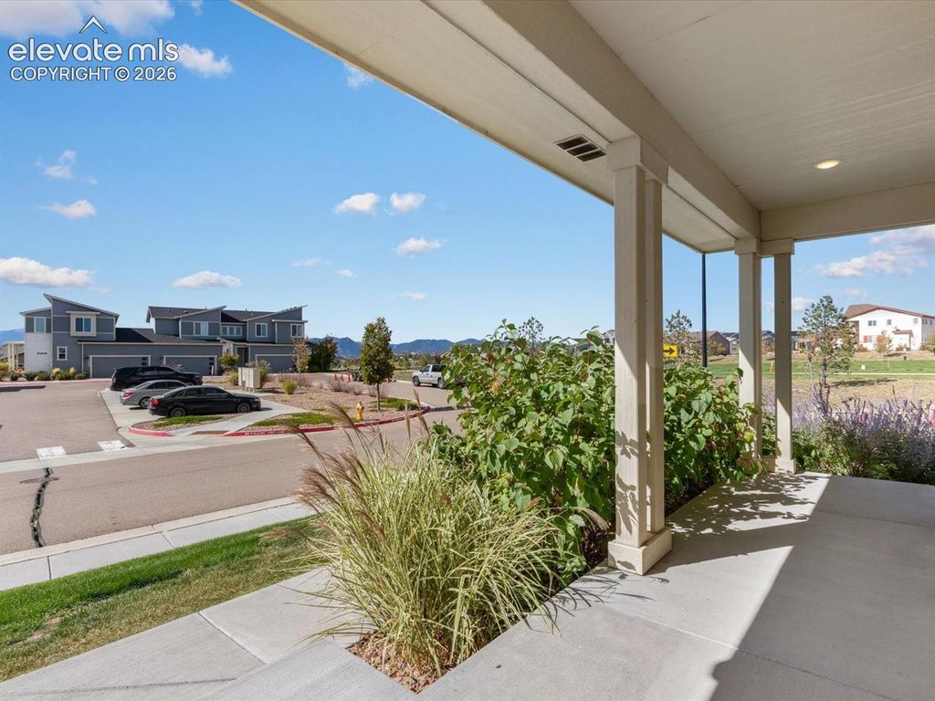 10007 Vervain View, Colorado Springs, CO 80924 — photo 5
