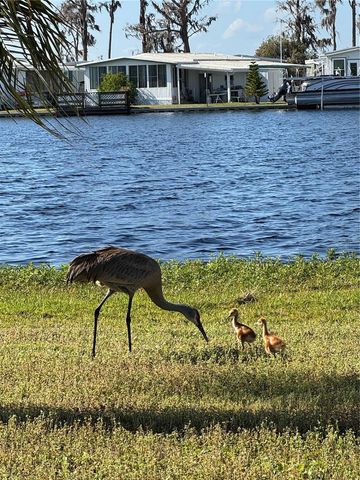 1401 W HIGHWAY 50 153, Clermont, FL 34711