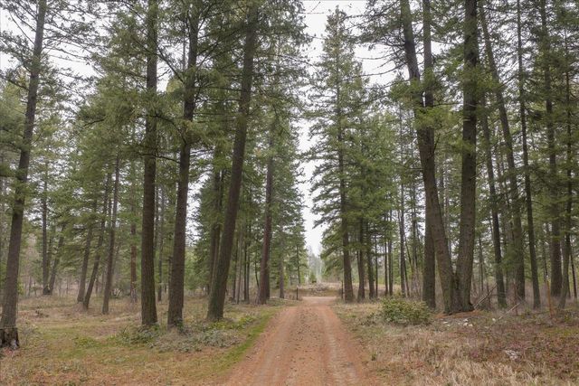 11006 E Boundary Rd, Elk, WA 99009