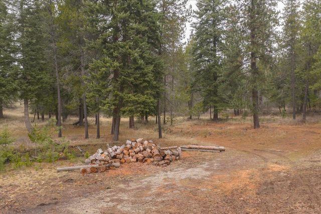 11006 E Boundary Rd, Elk, WA 99009