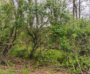 000 Middle Parcel D Middle Road, Highland Charter Township, MI 48357