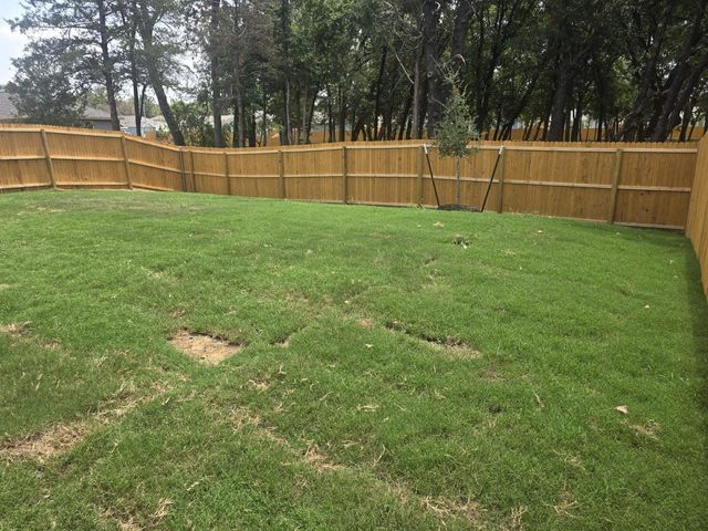 1720 Stripes Lane, Dallas, TX 75253